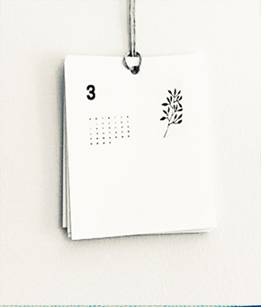 hand illustrated botanical calendar 2012 black and white pen and ink